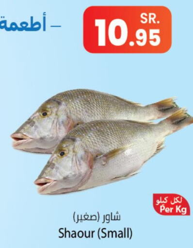 Till 4th October