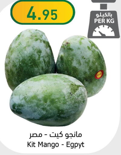 فاكهة طازجة in الراية, المملكة العربية السعودية Offers - المملكة العربية السعودية Till 10th October