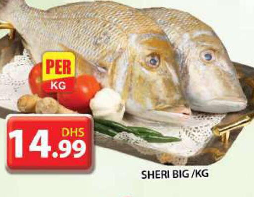 Till 4th October