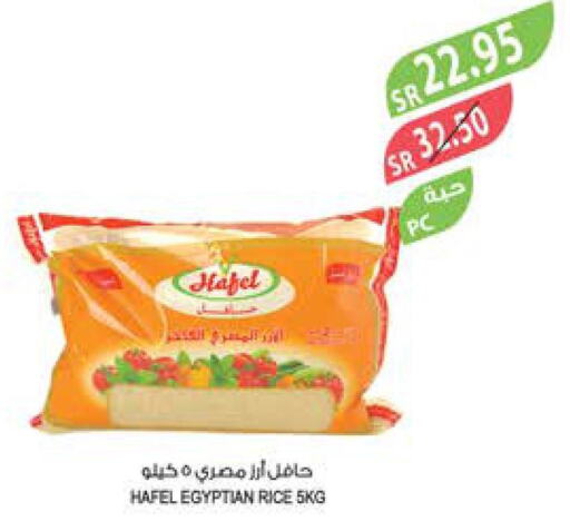 Rice in Farm , Saudi Arabia Offers - Saudi Arabia Till 10th October