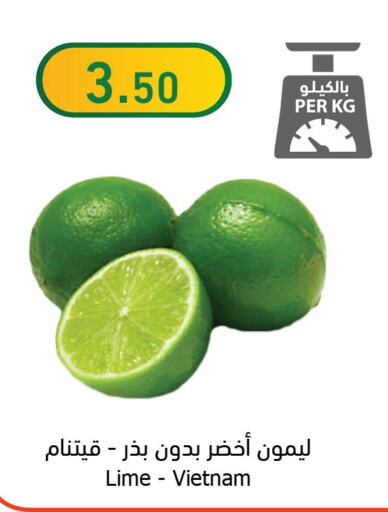Fresh Fruits in Al Raya, Saudi Arabia Offers - Saudi Arabia Till 12th December