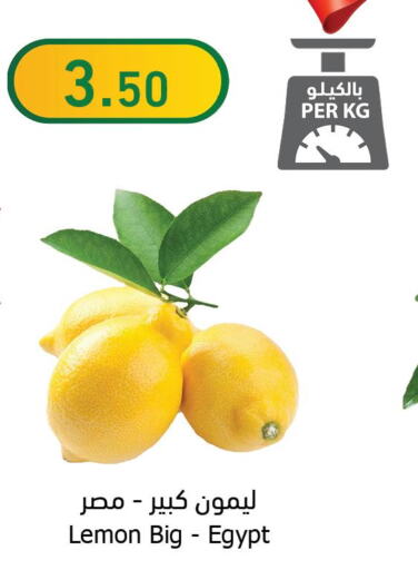 Fresh Fruits in Al Raya, Saudi Arabia Offers - Saudi Arabia Till 12th December