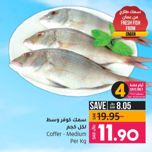 Fresh Fish in LULU Hypermarket, Saudi Arabia Offers - Saudi Arabia Till 9th December