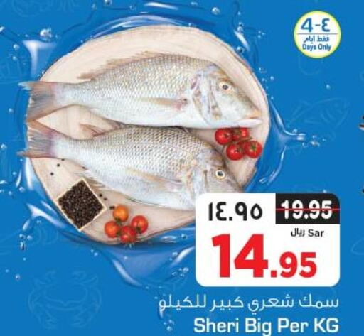 Fresh Fish in Nesto, Saudi Arabia Offers - Saudi Arabia Till 12th December