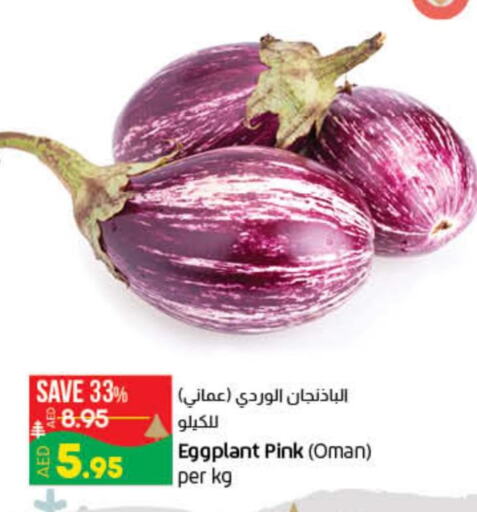 Fresh Vegetables in Lulu Hypermarket, UAE Offers - United Arab Emirates Till 13th December