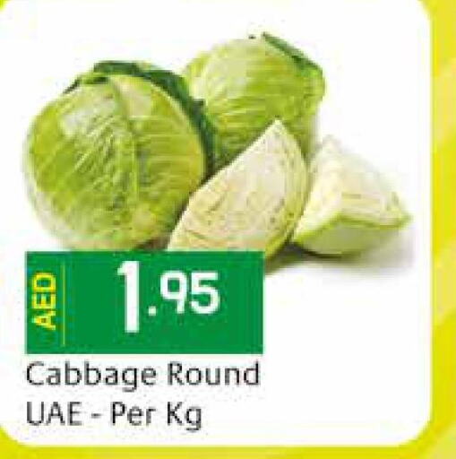 Fresh Vegetables in Safeer Hyper Markets, UAE Offers - United Arab Emirates Till 13th December