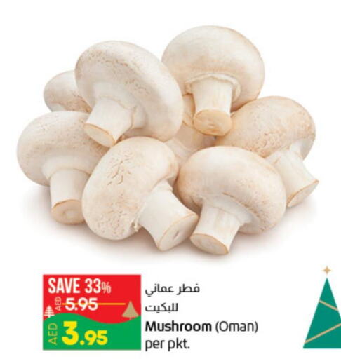 Fresh Vegetables in Lulu Hypermarket, UAE Offers - United Arab Emirates Till 13th December