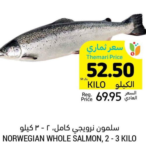 Fresh Fish offers in KSA, Saudi Arabia, Saudi - Khafji