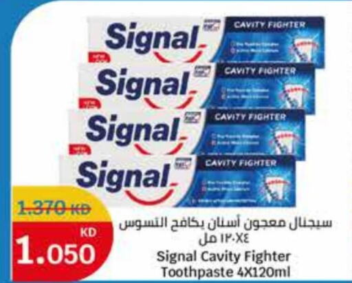 SIGNAL Toothpaste  in City Centre  in Kuwait