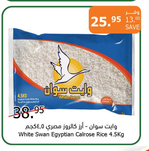 AL ALALI Egyptian / Calrose Rice  in Al Raya in KSA, Saudi Arabia, Saudi - Jazan