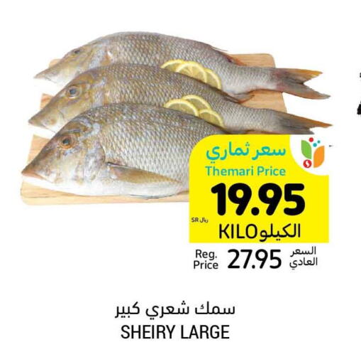 Fresh Fish offers in KSA, Saudi Arabia, Saudi Riyadh