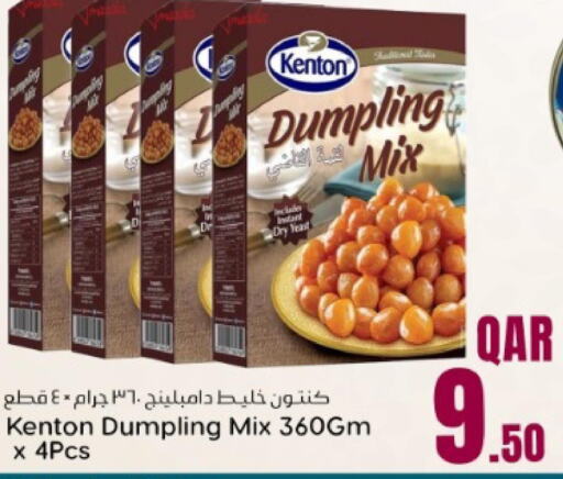  Dumpling Mix  in Dana Hypermarket in Qatar - Al Rayyan
