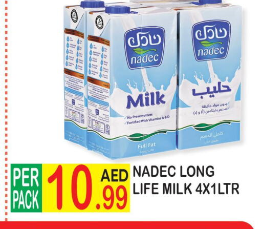 NADEC Long Life / UHT Milk  in دريم لاند in الإمارات العربية المتحدة , الامارات - دبي