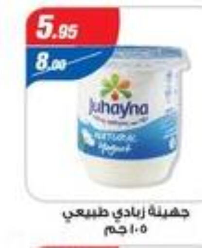  Yoghurt  in Zaher Dairy in Egypt - Cairo