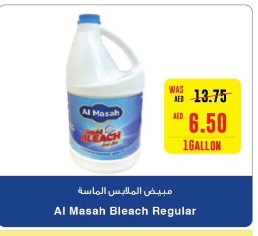  Bleach  in Earth Supermarket in UAE - Abu Dhabi