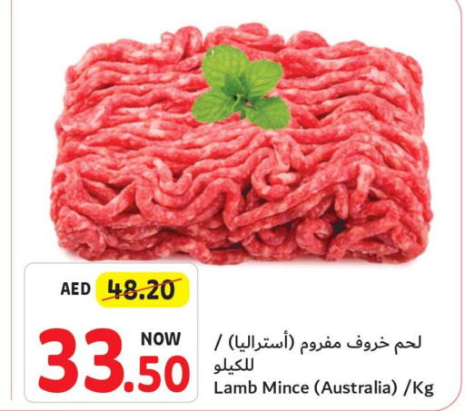  Mutton / Lamb  in Umm Al Quwain Coop in UAE - Umm al Quwain