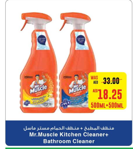 MR. MUSCLE Toilet / Drain Cleaner  in ايـــرث سوبرماركت in الإمارات العربية المتحدة , الامارات - ٱلْعَيْن‎