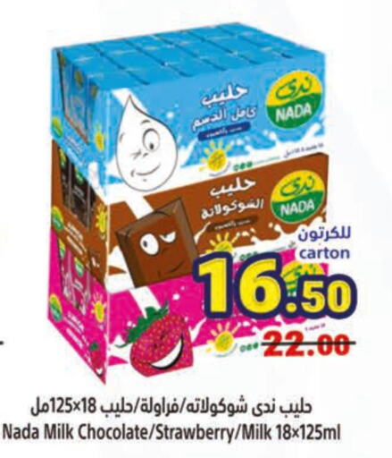 NADA Flavoured Milk  in Matajer Al Saudia in KSA, Saudi Arabia, Saudi - Mecca