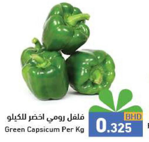  Chilli / Capsicum  in رامــز in البحرين