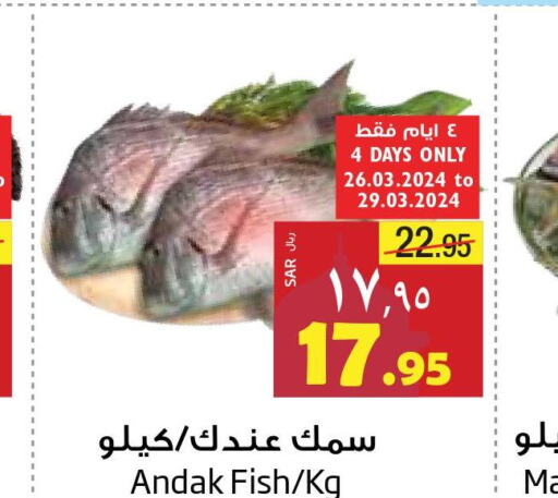  King Fish  in Layan Hyper in KSA, Saudi Arabia, Saudi - Al Khobar