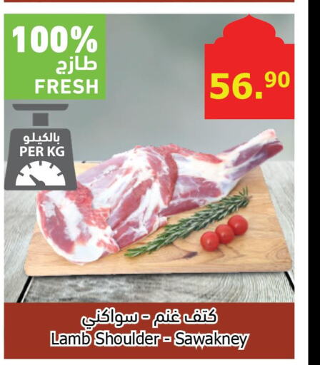  Mutton / Lamb  in Al Raya in KSA, Saudi Arabia, Saudi - Bishah