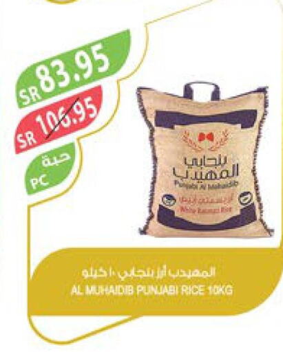  Egyptian / Calrose Rice  in Farm  in KSA, Saudi Arabia, Saudi - Sakaka