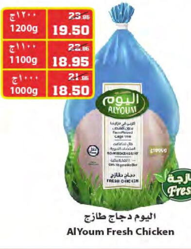AL YOUM Fresh Chicken  in Star Markets in KSA, Saudi Arabia, Saudi - Yanbu