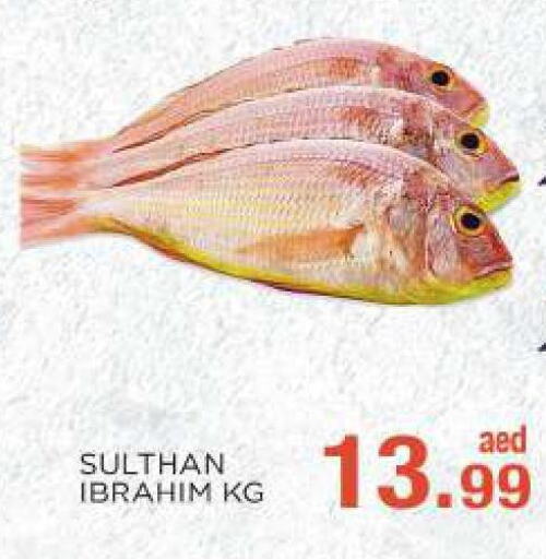  in C.M. supermarket in UAE - Abu Dhabi