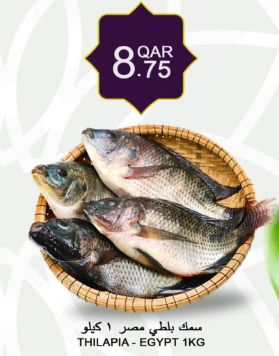  in قصر الأغذية هايبرماركت in قطر - أم صلال