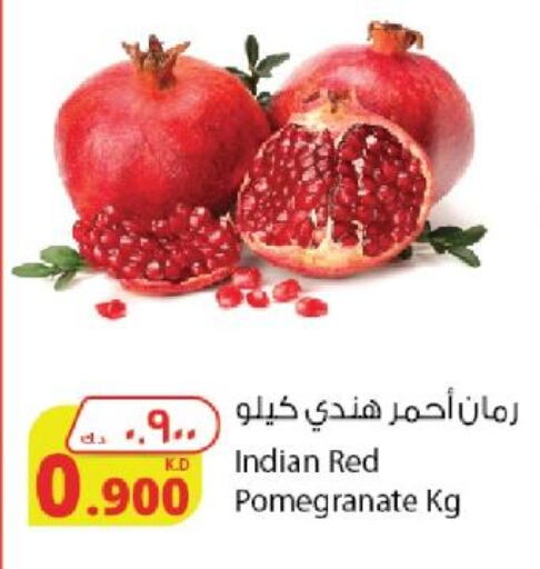  in Agricultural Food Products Co. in Kuwait - Jahra Governorate