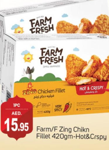 FARM FRESH Chicken Fillet  in سوق طلال in الإمارات العربية المتحدة , الامارات - دبي