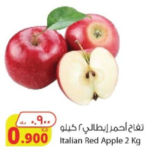  in Agricultural Food Products Co. in Kuwait - Ahmadi Governorate