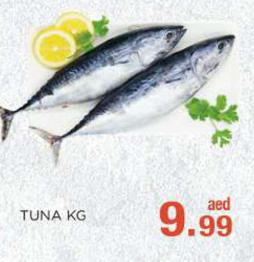  Tuna  in C.M. supermarket in UAE - Abu Dhabi