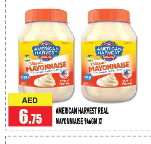 AMERICAN HARVEST Mayonnaise  in Azhar Al Madina Hypermarket in UAE - Abu Dhabi
