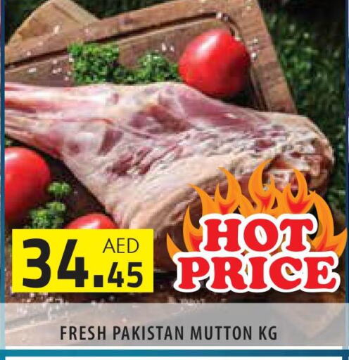  Mutton / Lamb  in سنابل بني ياس in الإمارات العربية المتحدة , الامارات - أبو ظبي