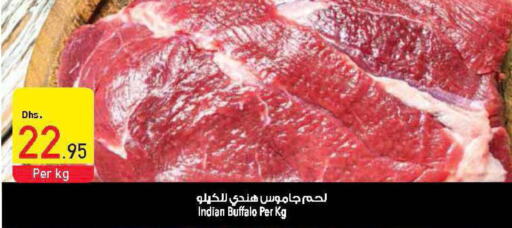  Buffalo  in Safeer Hyper Markets in UAE - Umm al Quwain