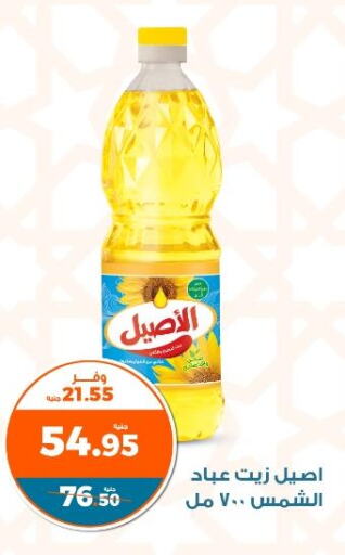 ASEEL Sunflower Oil  in كازيون in Egypt - القاهرة