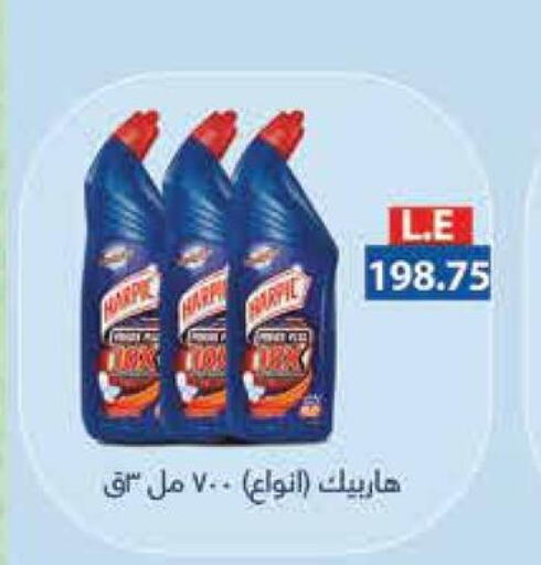 HARPIC General Cleaner  in Royal House in Egypt - Cairo