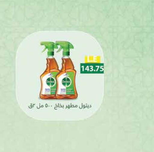 DETTOL General Cleaner  in Royal House in Egypt - Cairo