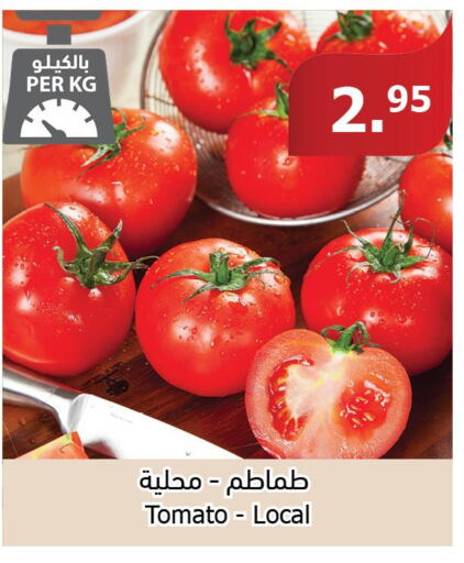  Tomato  in Al Raya in KSA, Saudi Arabia, Saudi - Jeddah