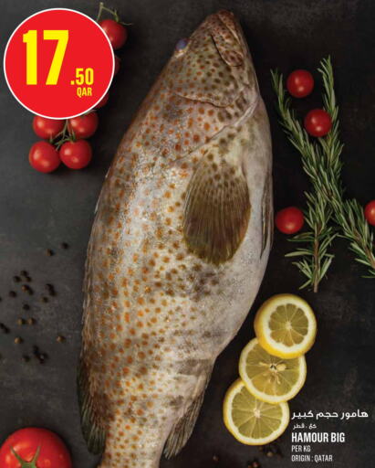  King Fish  in مونوبريكس in قطر - الوكرة
