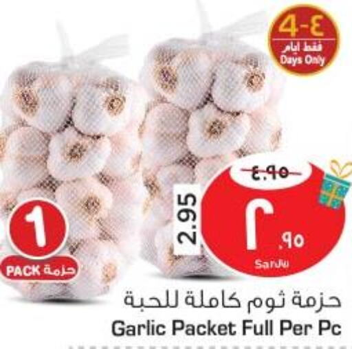  Garlic  in نستو in مملكة العربية السعودية, السعودية, سعودية - الأحساء‎
