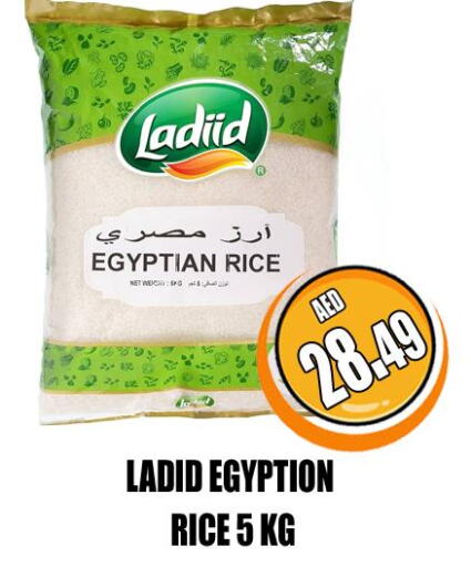  Egyptian / Calrose Rice  in GRAND MAJESTIC HYPERMARKET in UAE - Abu Dhabi