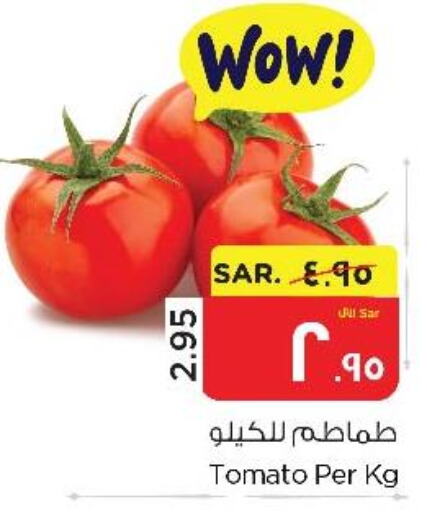  Tomato  in نستو in مملكة العربية السعودية, السعودية, سعودية - الأحساء‎