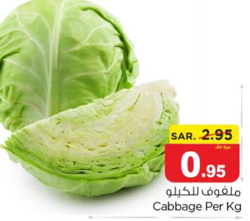  Cabbage  in نستو in مملكة العربية السعودية, السعودية, سعودية - بريدة