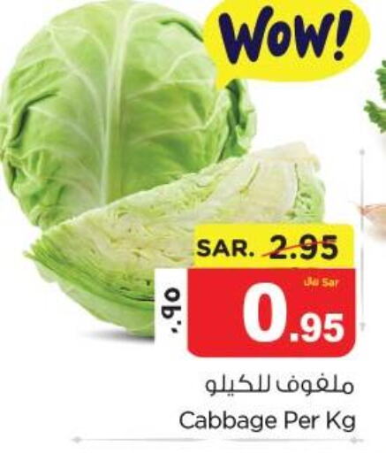  Cabbage  in Nesto in KSA, Saudi Arabia, Saudi - Dammam