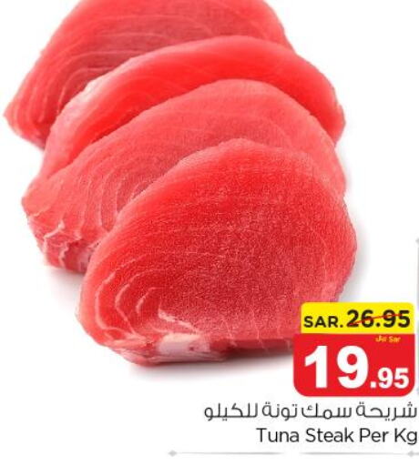  Tuna  in Nesto in KSA, Saudi Arabia, Saudi - Al Majmaah