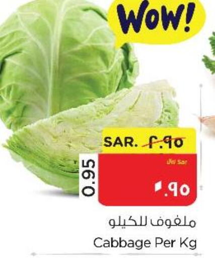  Cabbage  in نستو in مملكة العربية السعودية, السعودية, سعودية - الأحساء‎