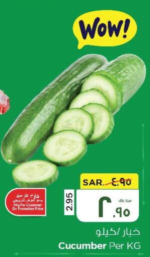  Cucumber  in نستو in مملكة العربية السعودية, السعودية, سعودية - الأحساء‎