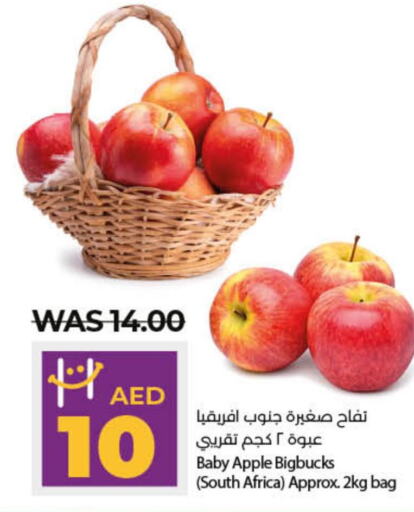 Apples  in لولو هايبرماركت in الإمارات العربية المتحدة , الامارات - الشارقة / عجمان